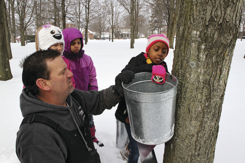 Maple Syruping Season Kicks Off in Burton Geauga County Maple Leaf
